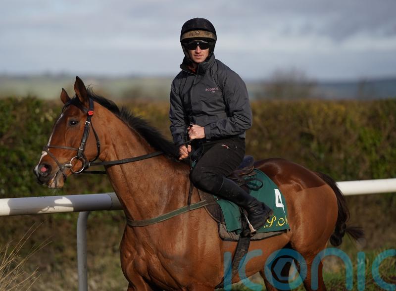 Patrick Mullins looking forward to Facile Vega – and American Mike showdown