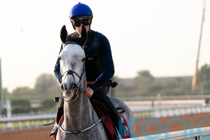 Tony Mullins still living the dream with Princess Zoe