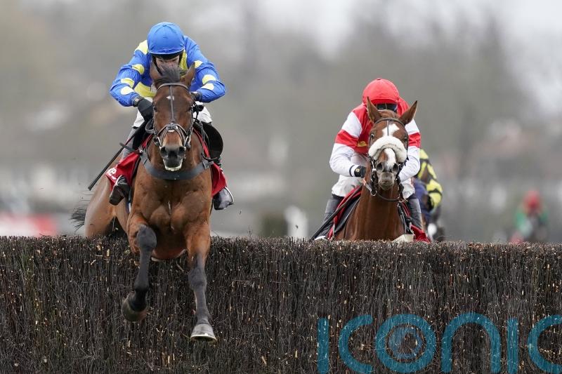 Shan Blue delights Skelton in Warwick workout