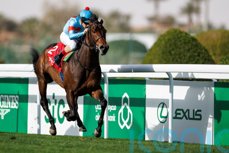 No joy for Pyledriver as Authority runs out a stylish winner of Neom Turf Cup