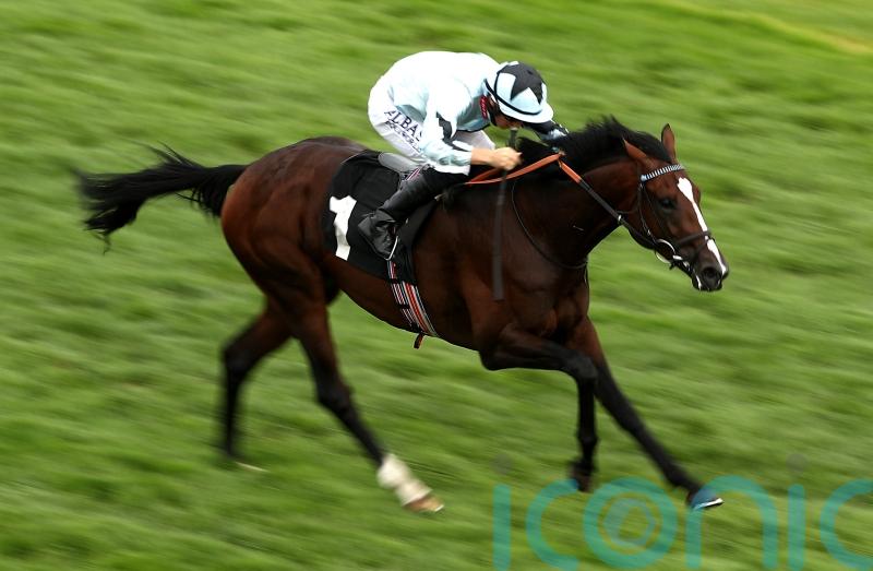 Alenquer proves best at Lingfield for Winter Derby glory