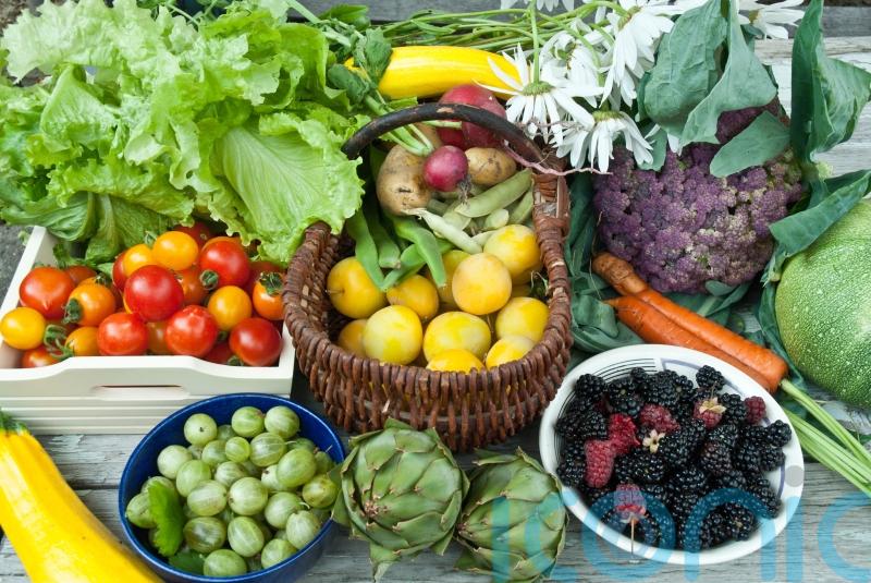 Grow some seasonal showstoppers to help reduce the carbon footprint of your fruit and veg
