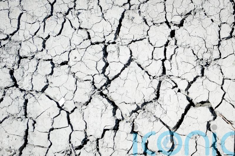 Failing to adapt to climate crisis ‘will cost lives’, world is warned