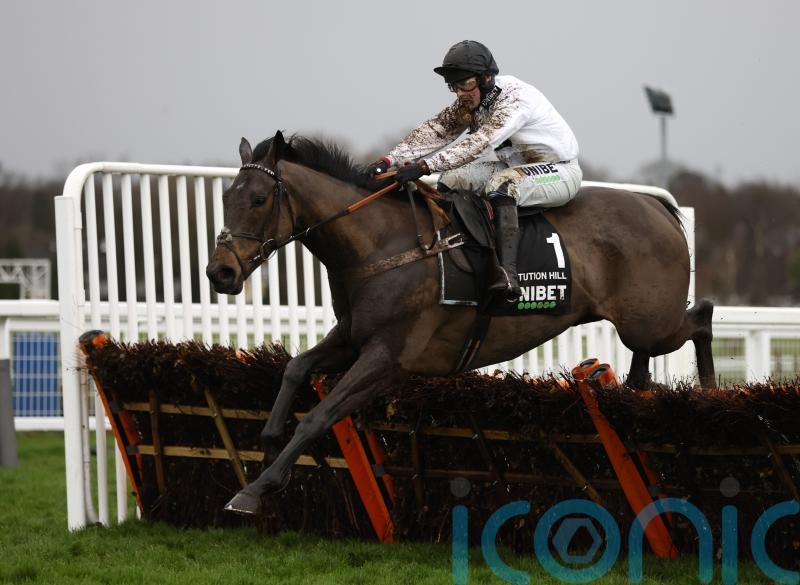 I’m frightened of all of them, says Constitution Hill’s owner
