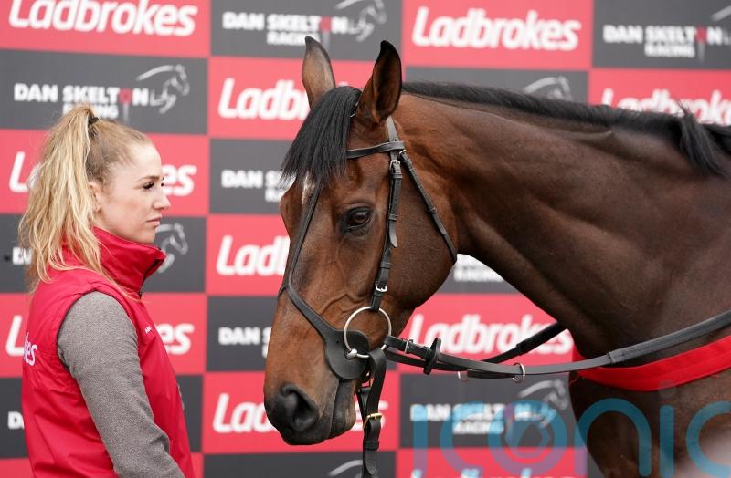 Skelton full of Cheltenham hope with ‘grafter’ Protektorat