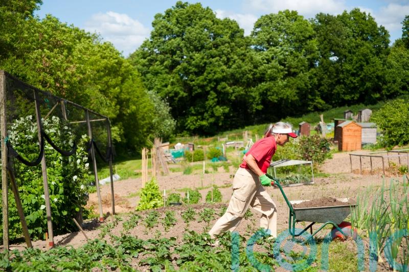 6 ways gardening can help you live longer, as study highlights health benefits of outdoor activities