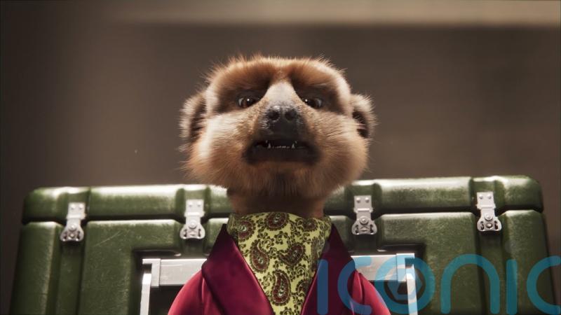 Compare the Market takes Russian meerkat TV adverts off the air during the news