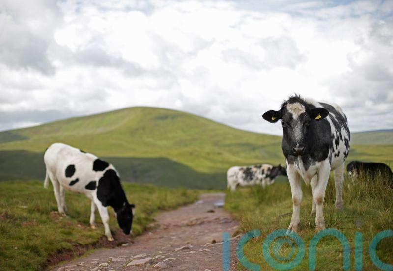 One of competing climate change bills passes penultimate NI Assembly hurdle