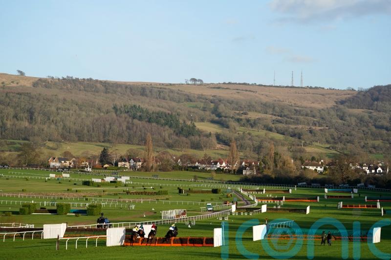 Cheltenham expect &lsquo;soft&rsquo; in Festival going description