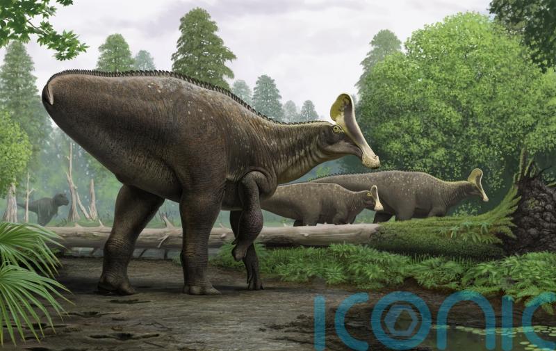 Researchers discover bone of 68-million-year-old dinosaur with broken wrist