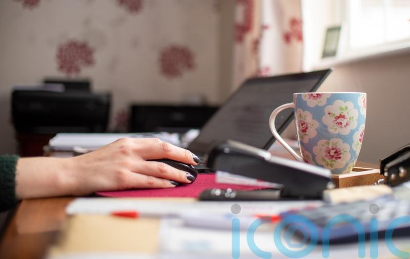 Remote working Bill panned by employers and trade unions as ‘fatally flawed’