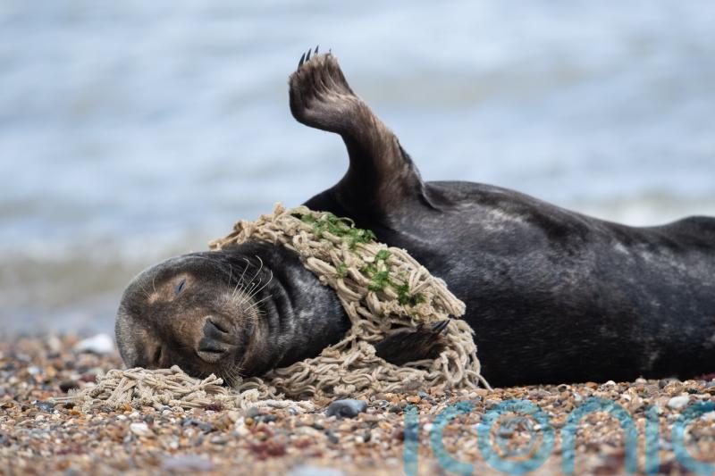 Countries agree ‘historic’ move to draw up legal treaty to end plastic pollution