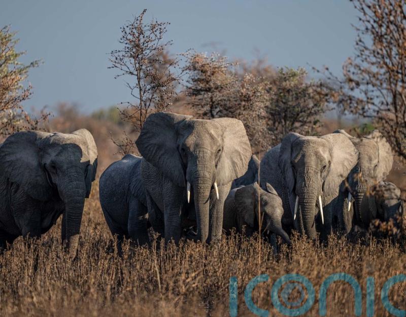 World Wildlife Day: 3 sustainable wildlife holidays