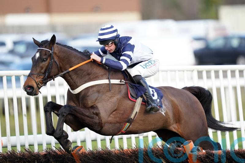 Unbeaten Skytastic to miss Cheltenham and wait for Aintree