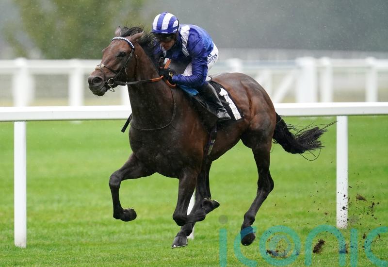 Hukum strikes Dubai Gold to underline Sheema Classic claims