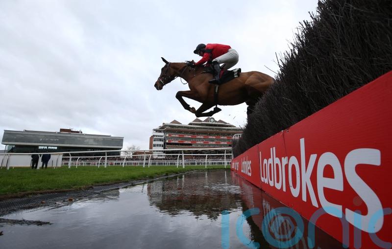 Ahoy Senor all set for Bravemansgame clash after pleasing workout