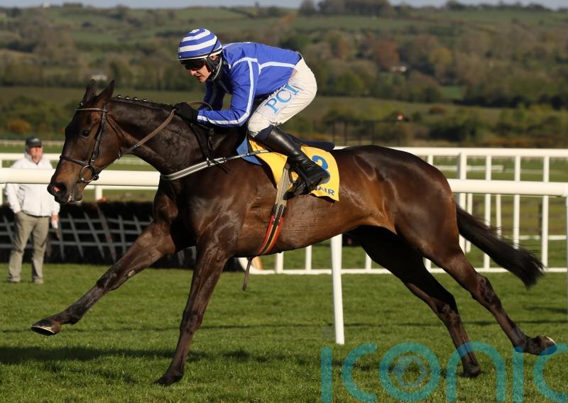 Willie Mullins ‘very pleased’ with Energumene progress