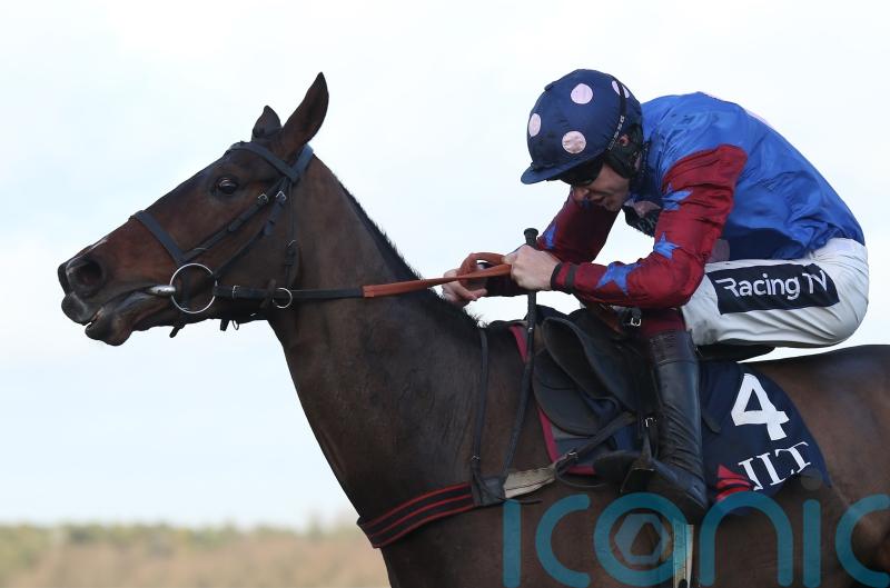 Paisley Park in perfect place as latest Cheltenham challenge looms
