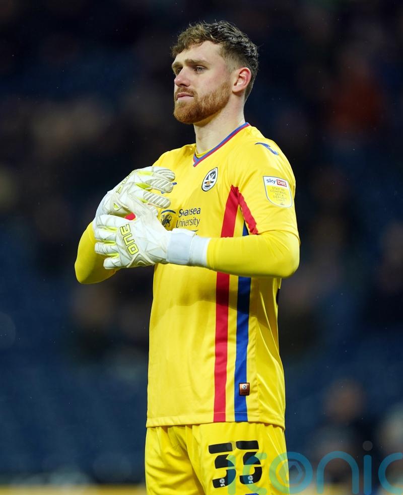 Swansea hoping goalkeeper Andy Fisher will be fit to face Fulham