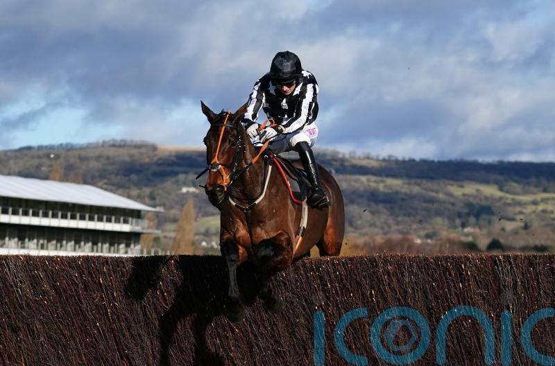 Plate the favoured option for Imperial Alcazar at Cheltenham