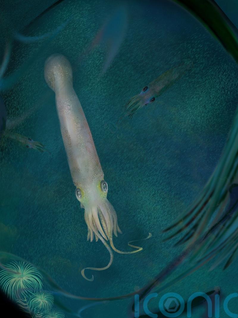 Octopus ancestor is the first of its kind with 10 functional arms