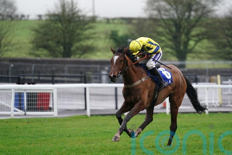 Ground key to Gary Moore’s Triumph Hurdle plans