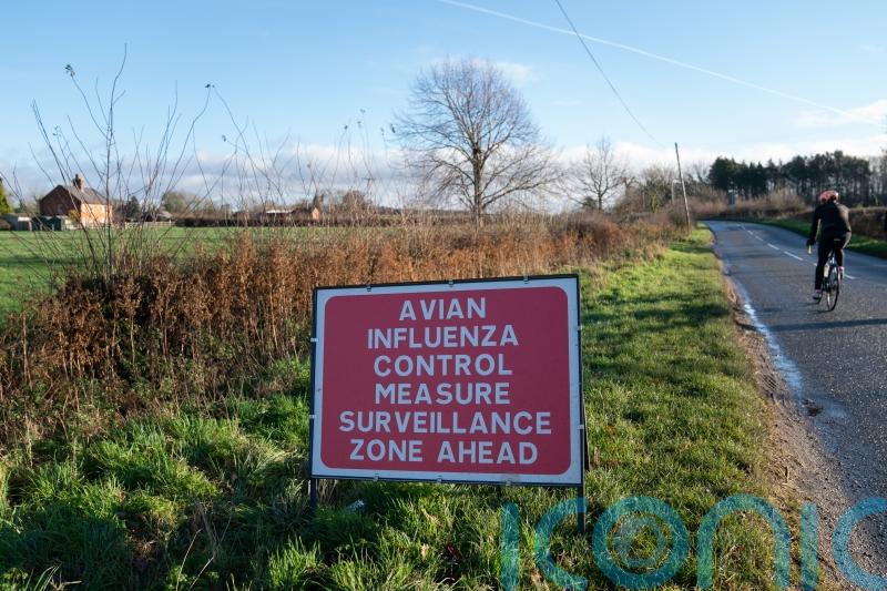 Avian flu outbreak discovered in Aberdeenshire