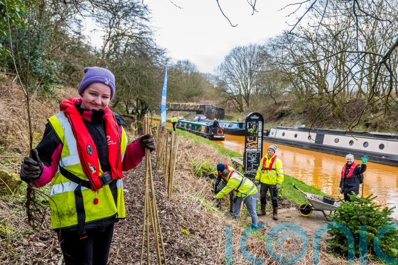 Waterways charity to plant thousands of trees this spring