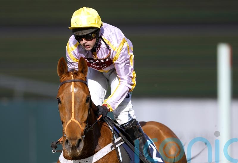 Luccia helps settle any form concerns for Henderson