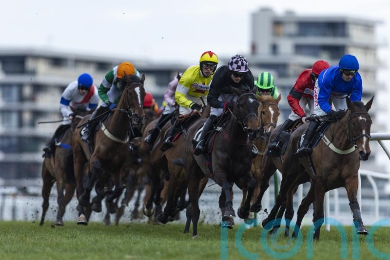 Top Dog gunning for Champion Bumper honours
