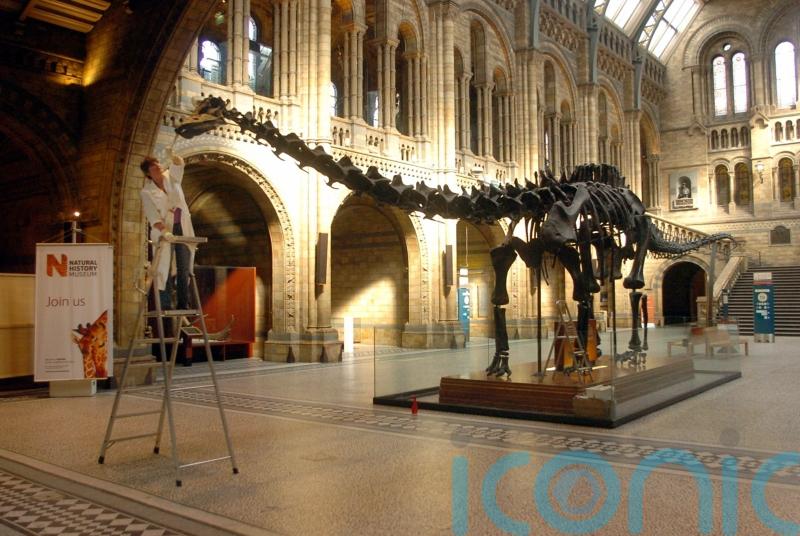 Museum and gallery trips have no impact on GCSE grades – study