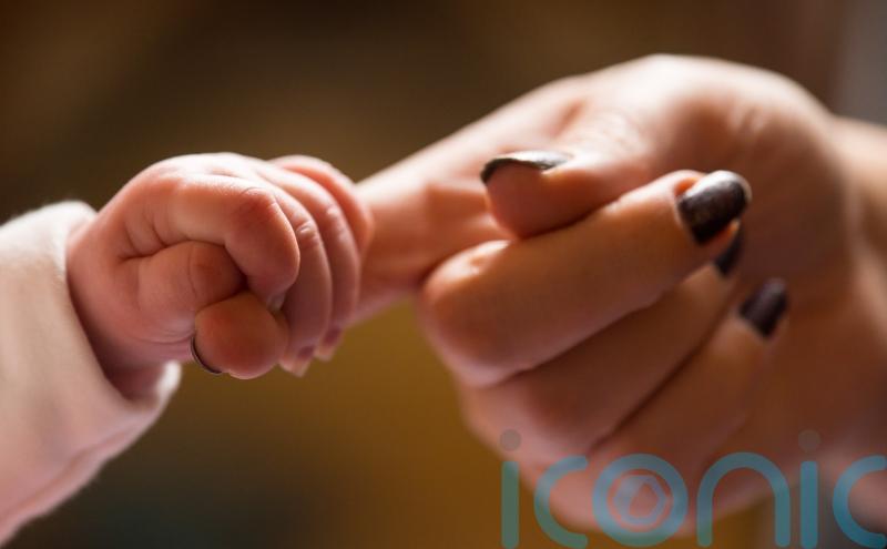 State aware of illegal birth registration for decades, report finds