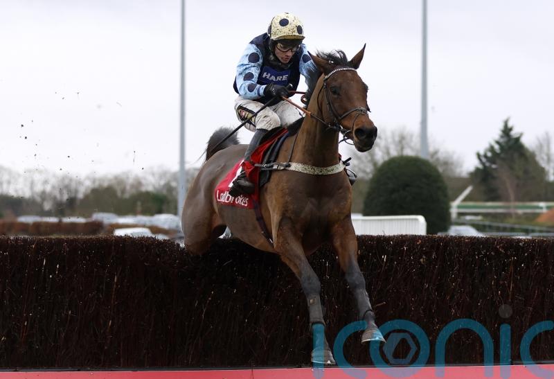 King backing Edwardstone to triumph in Arkle test