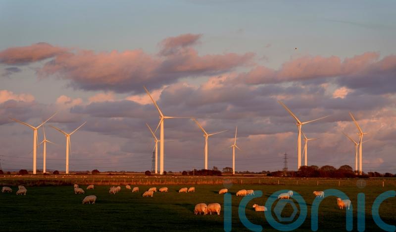 Government urged to support households and cut fossil fuel use as bills soar
