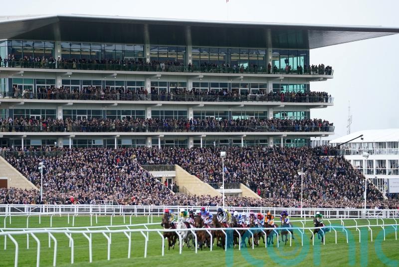 Crowds are back at Cheltenham – and loving every minute