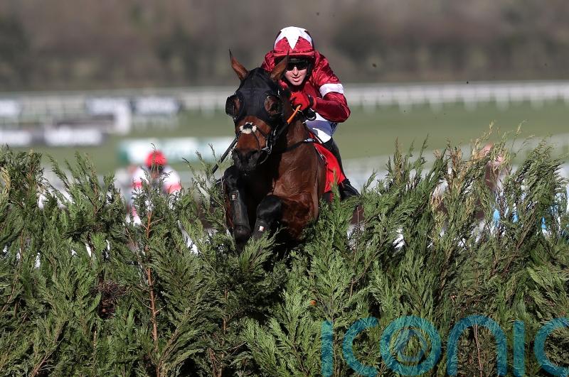 Tiger Roll – the pint-sized horse blessed with the huge heart