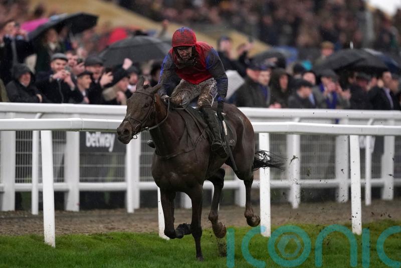 Facile Vega oozes class in Champion Bumper victory