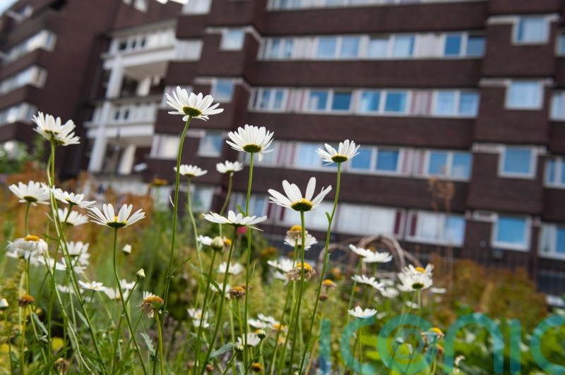 £5m lottery funding for disadvantaged communities to ‘rewild’ their local areas