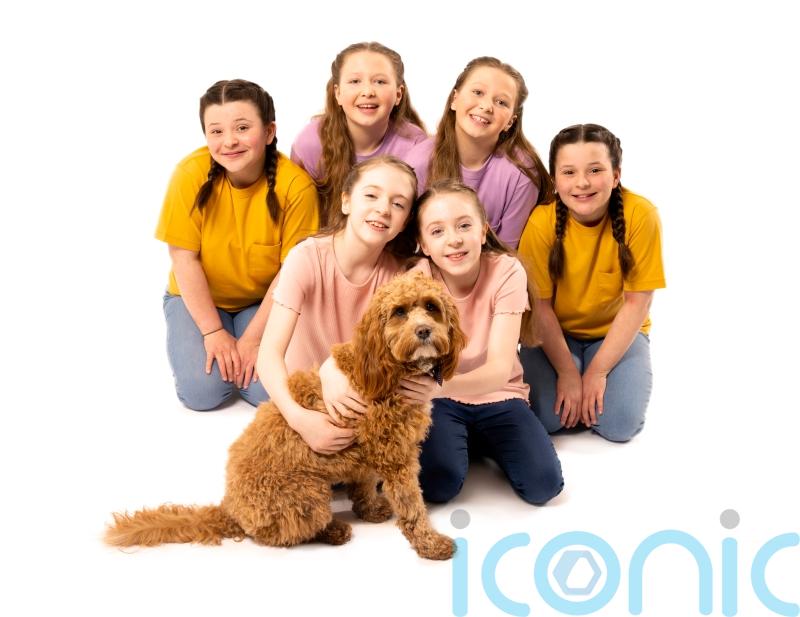 Three sets of twins to star in musical adaption of The Parent Trap