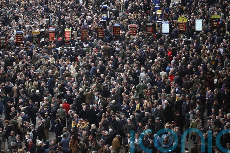 Bookmakers celebrating after big-priced Festival winners