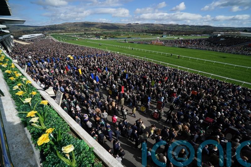 Cheltenham welcomes record crowd for Thursday action