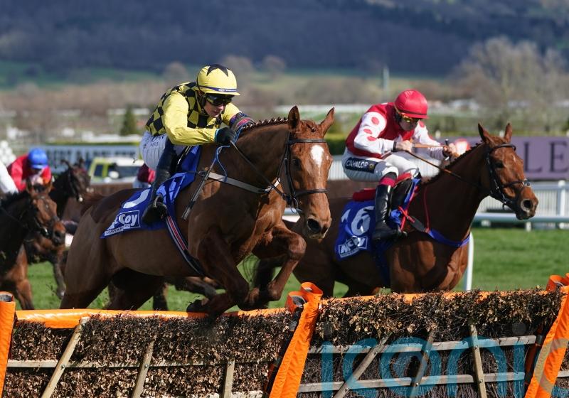 State Man proves different class in County Hurdle