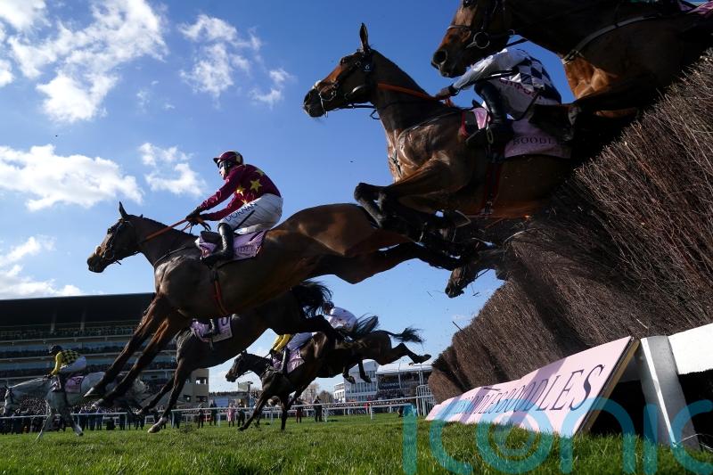 Gallant Minella Indo loses little in Gold Cup defeat