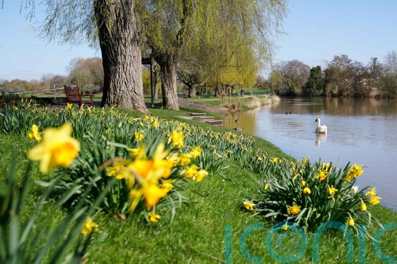 Wall-to-wall sunshine forecast with highest temperature so far this year