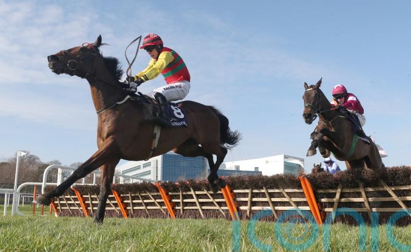 Max Flamingo heading for Irish National after Thurles triumph