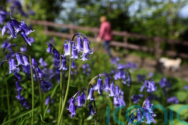 Parts of UK reach 20C as Saturday marks warmest day of the year