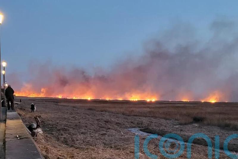Marshland blaze at RSPB reserve extinguished