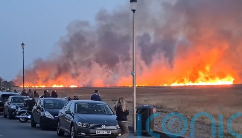 Suspected deliberate fire on marshland ‘devastated’ nature reserve
