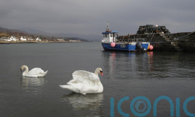 Island communities to share £4m funding to boost infrastructure