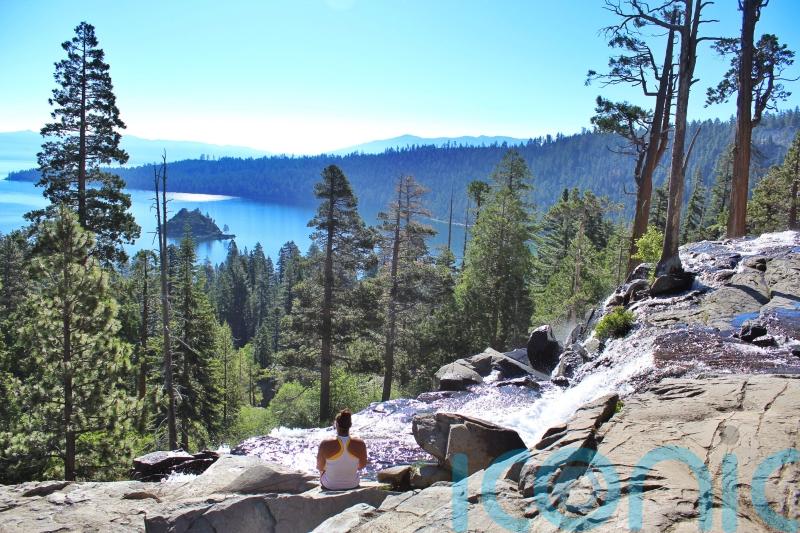 International Day of Forests: 5 forests to get lost in this summer